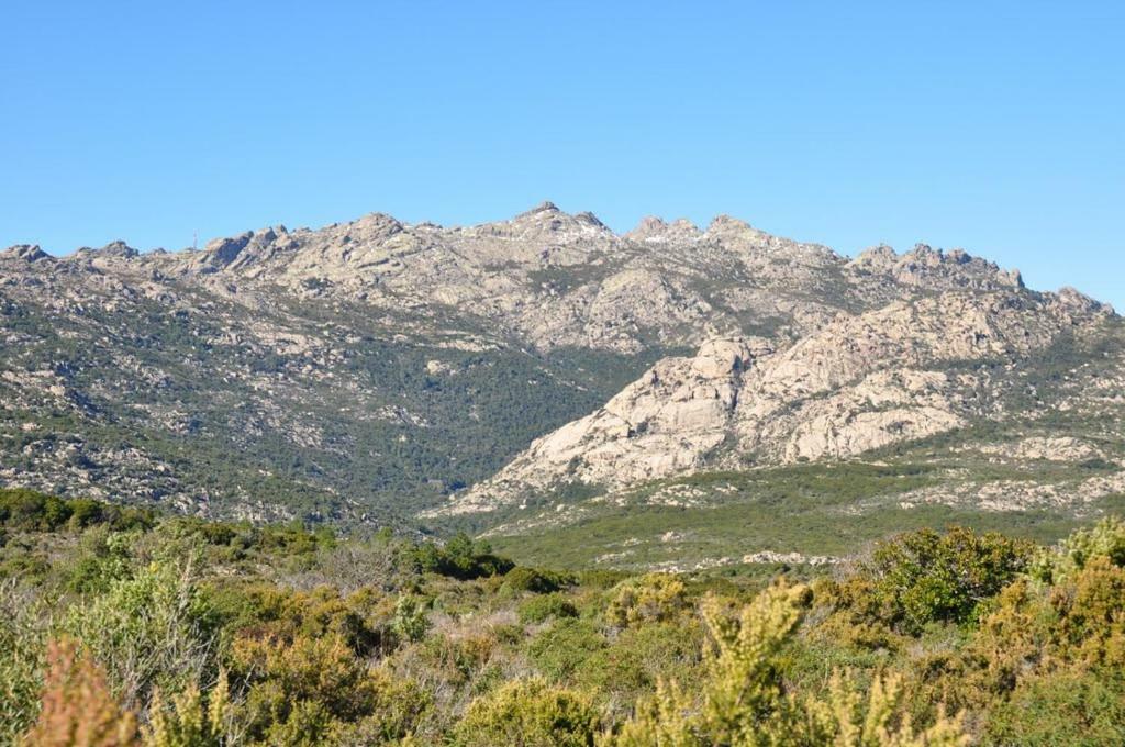 הוילה ברקידה Sardegna Vicino Ad Olbia "La Casa Nel Vicolo" מראה חיצוני תמונה