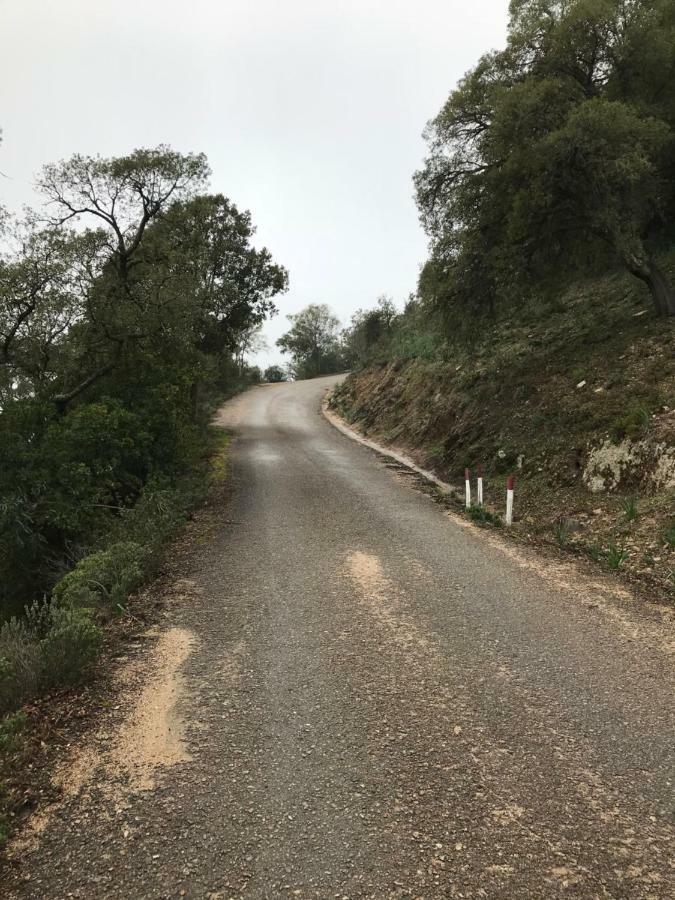 הוילה ברקידה Sardegna Vicino Ad Olbia "La Casa Nel Vicolo" מראה חיצוני תמונה