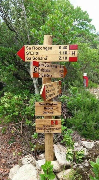 הוילה ברקידה Sardegna Vicino Ad Olbia "La Casa Nel Vicolo" מראה חיצוני תמונה