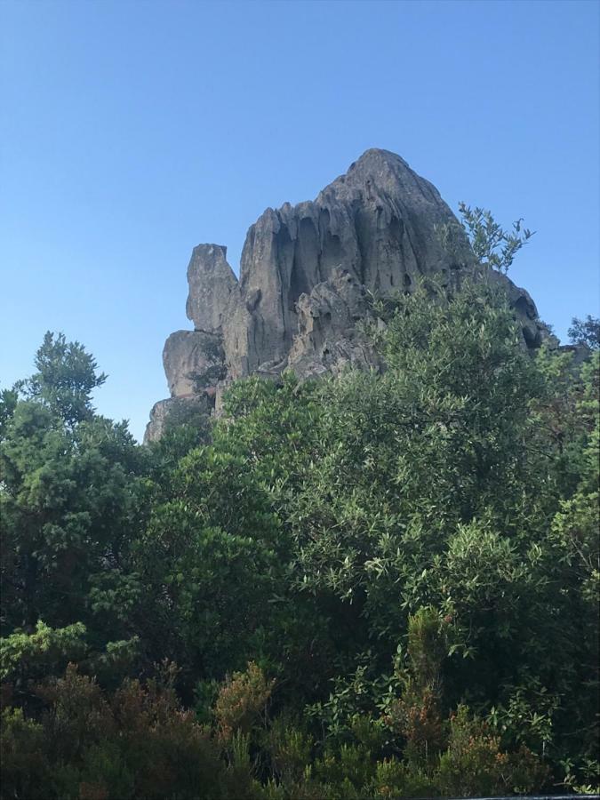 הוילה ברקידה Sardegna Vicino Ad Olbia "La Casa Nel Vicolo" מראה חיצוני תמונה