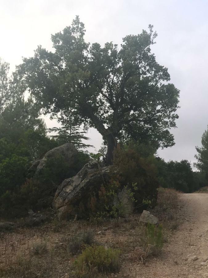 הוילה ברקידה Sardegna Vicino Ad Olbia "La Casa Nel Vicolo" מראה חיצוני תמונה